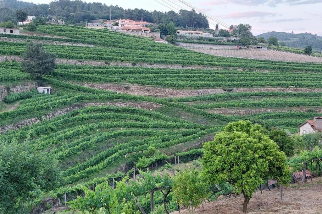Quinta Dos Castros Douro Villa Baião Exteriör bild