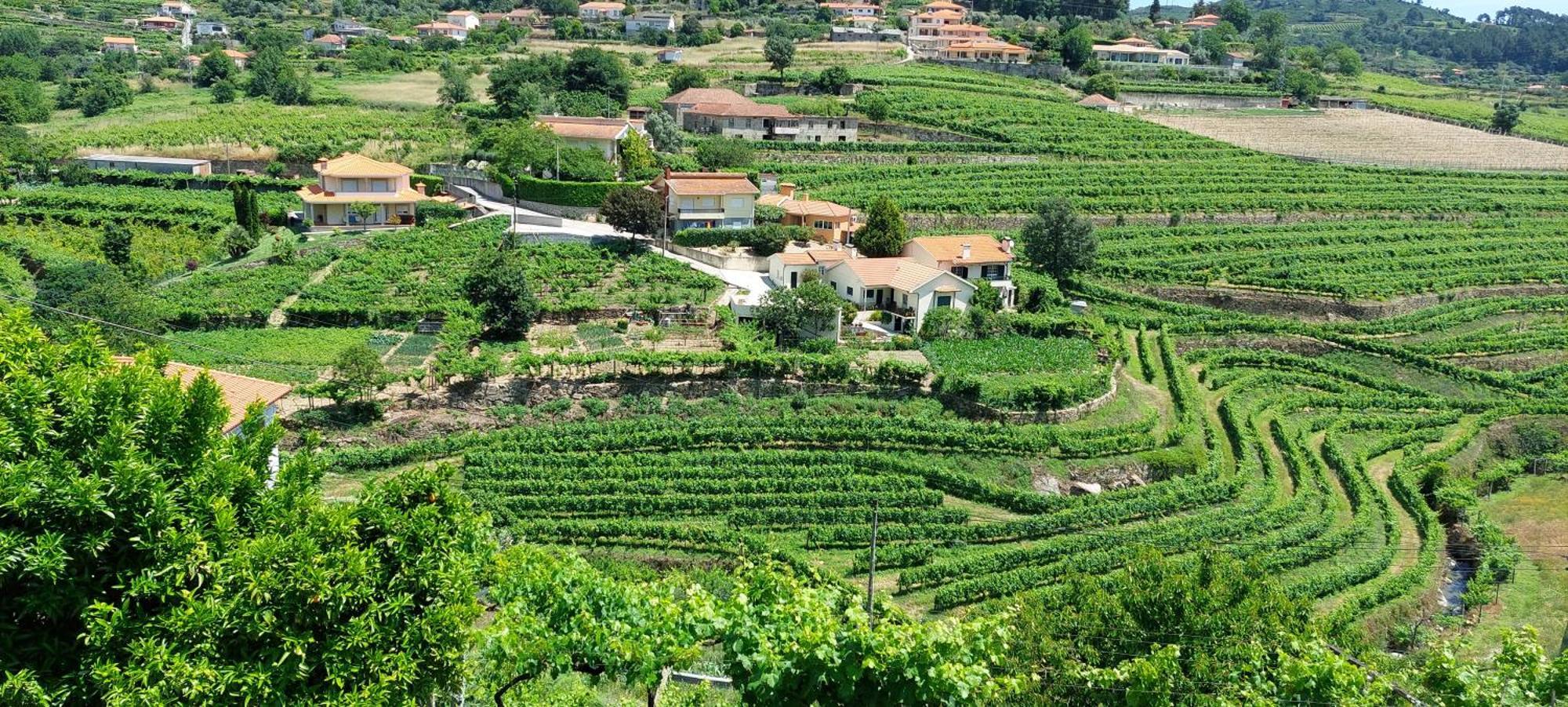 Quinta Dos Castros Douro Villa Baião Exteriör bild