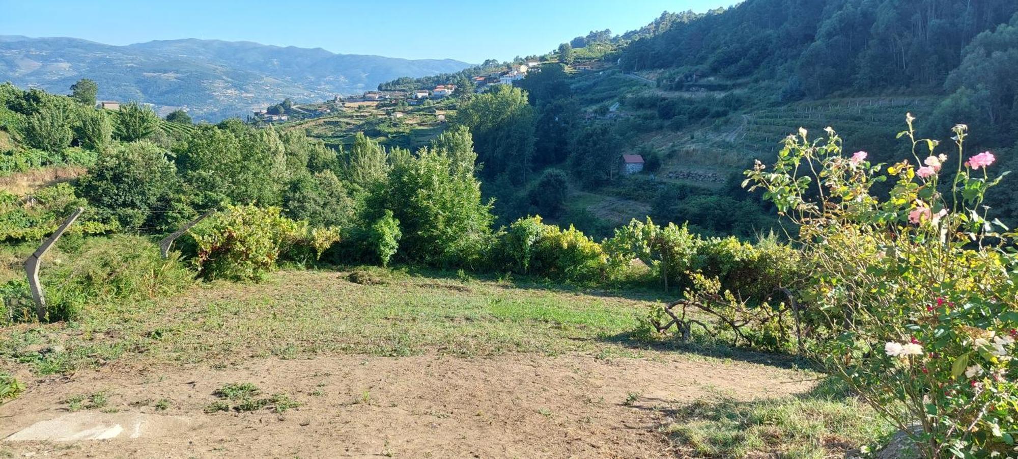 Quinta Dos Castros Douro Villa Baião Exteriör bild