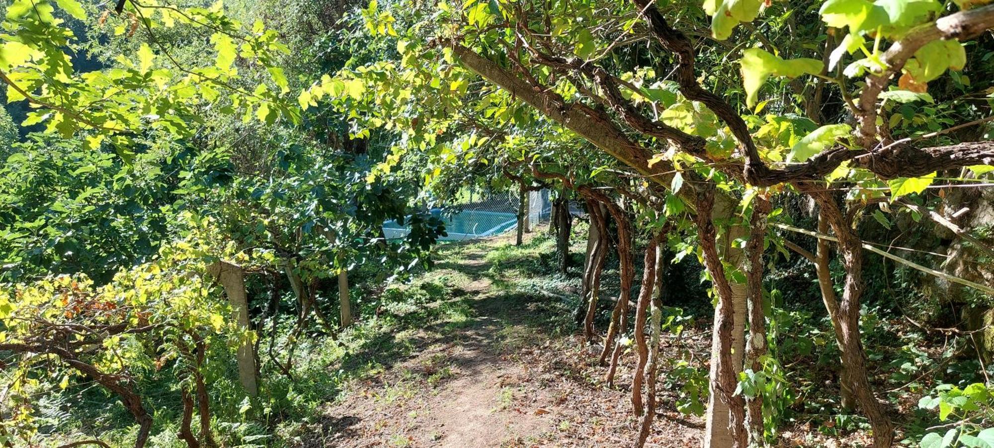 Quinta Dos Castros Douro Villa Baião Exteriör bild