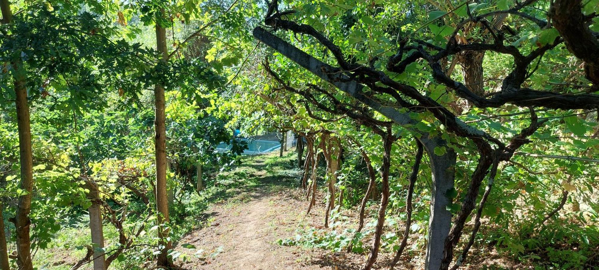 Quinta Dos Castros Douro Villa Baião Exteriör bild