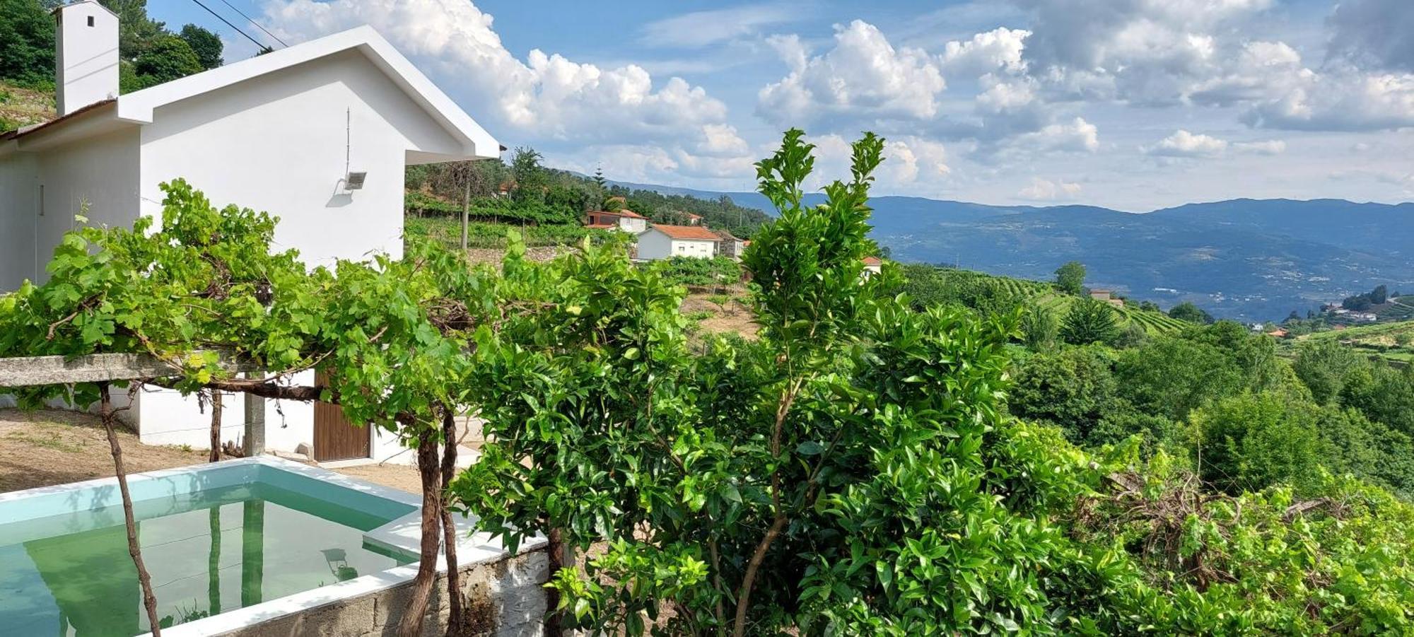 Quinta Dos Castros Douro Villa Baião Exteriör bild