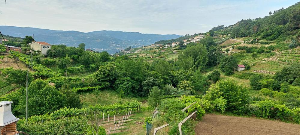 Quinta Dos Castros Douro Villa Baião Exteriör bild
