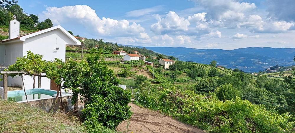 Quinta Dos Castros Douro Villa Baião Exteriör bild