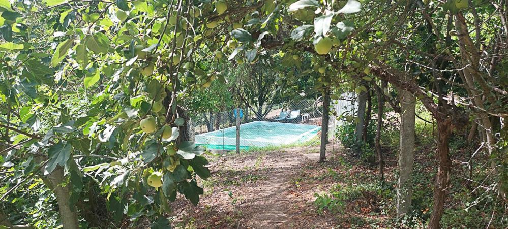 Quinta Dos Castros Douro Villa Baião Exteriör bild
