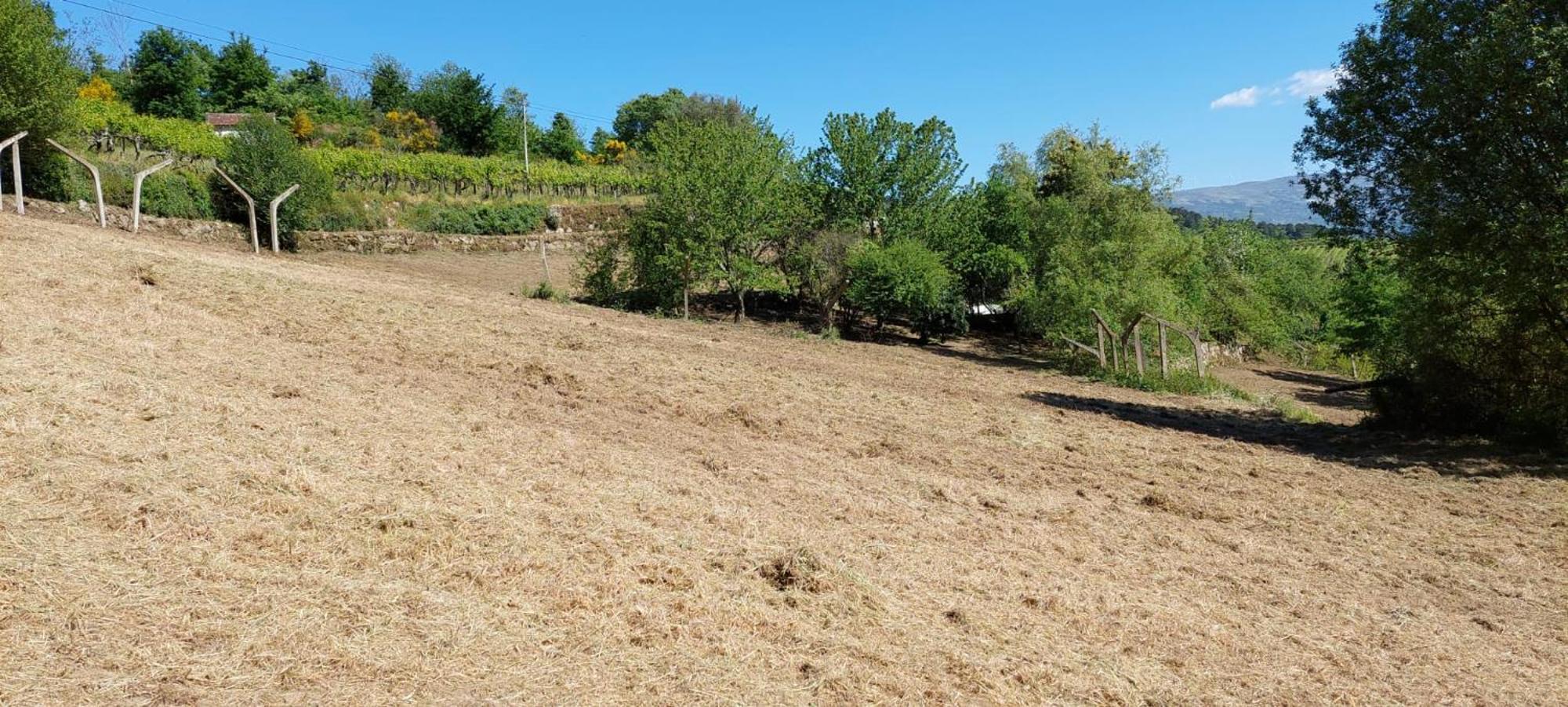 Quinta Dos Castros Douro Villa Baião Exteriör bild