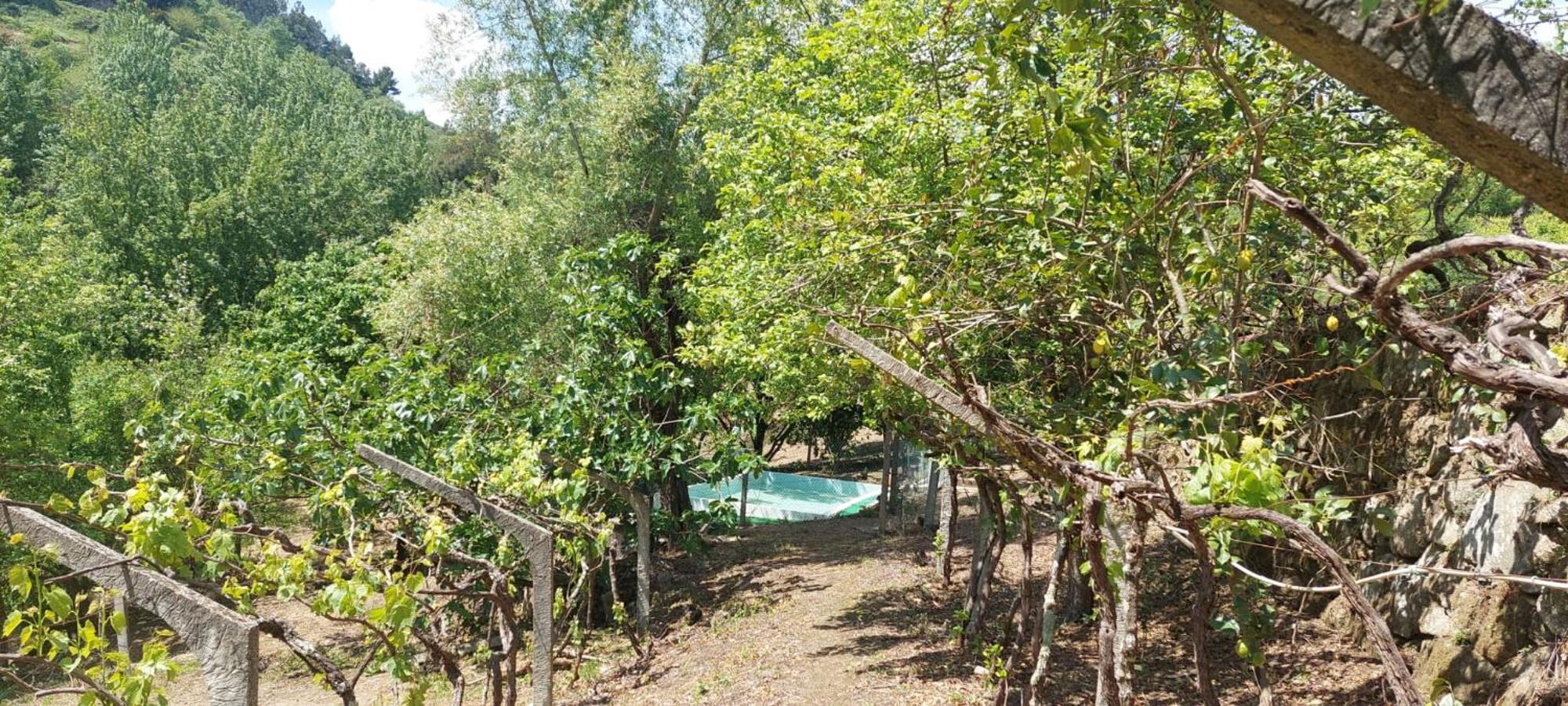 Quinta Dos Castros Douro Villa Baião Exteriör bild